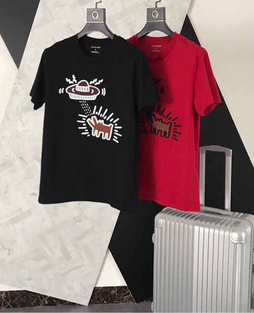 圖 高檔奢偧大牌男裝工廠貨源批發(fā)代理 成都服裝 鞋帽 箱包